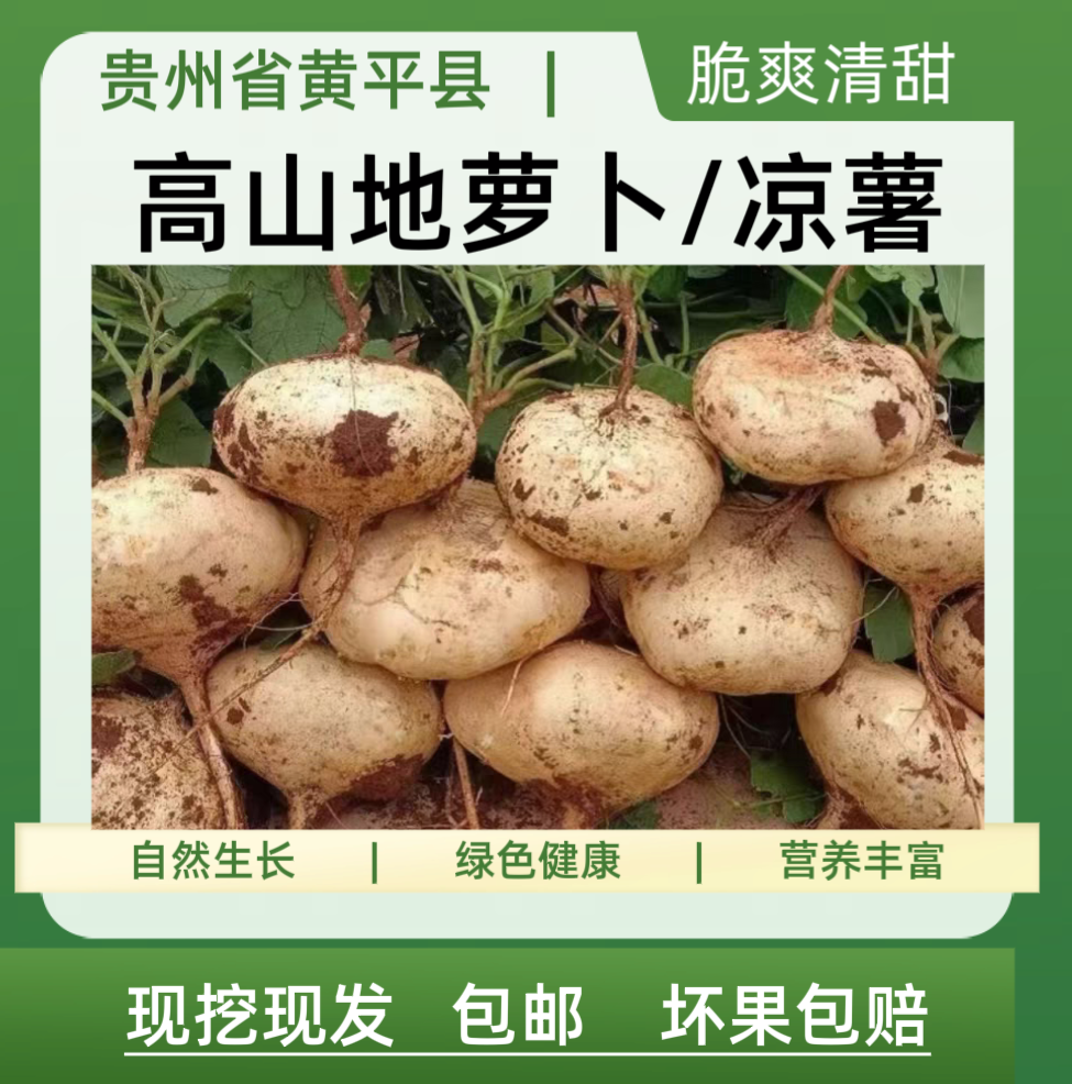 贵州黄平新鲜地萝卜凉薯地瓜现挖现发农家自种脆甜多汁肉细腻美味