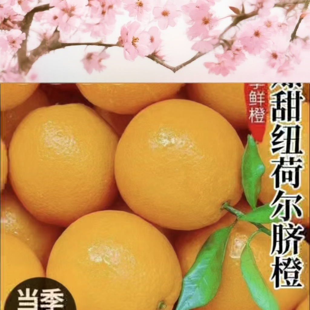 湖南道州下蒋脐橙新鲜现摘当季水果产地直发十斤装批发包邮