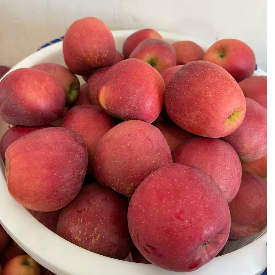 正宗云南昭通冰糖心丑苹果2025现摘直达脆甜糖心苹果产地直发