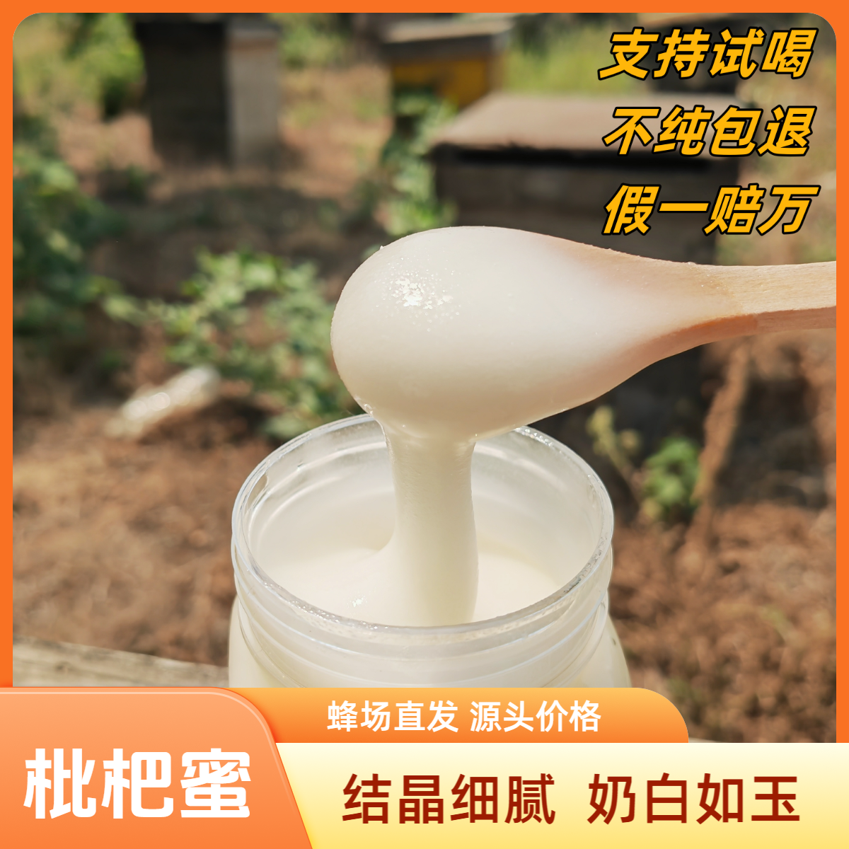 【枇杷蜜5斤】东山白玉枇杷蜜 结晶白蜜雪蜜枇杷雪蜜