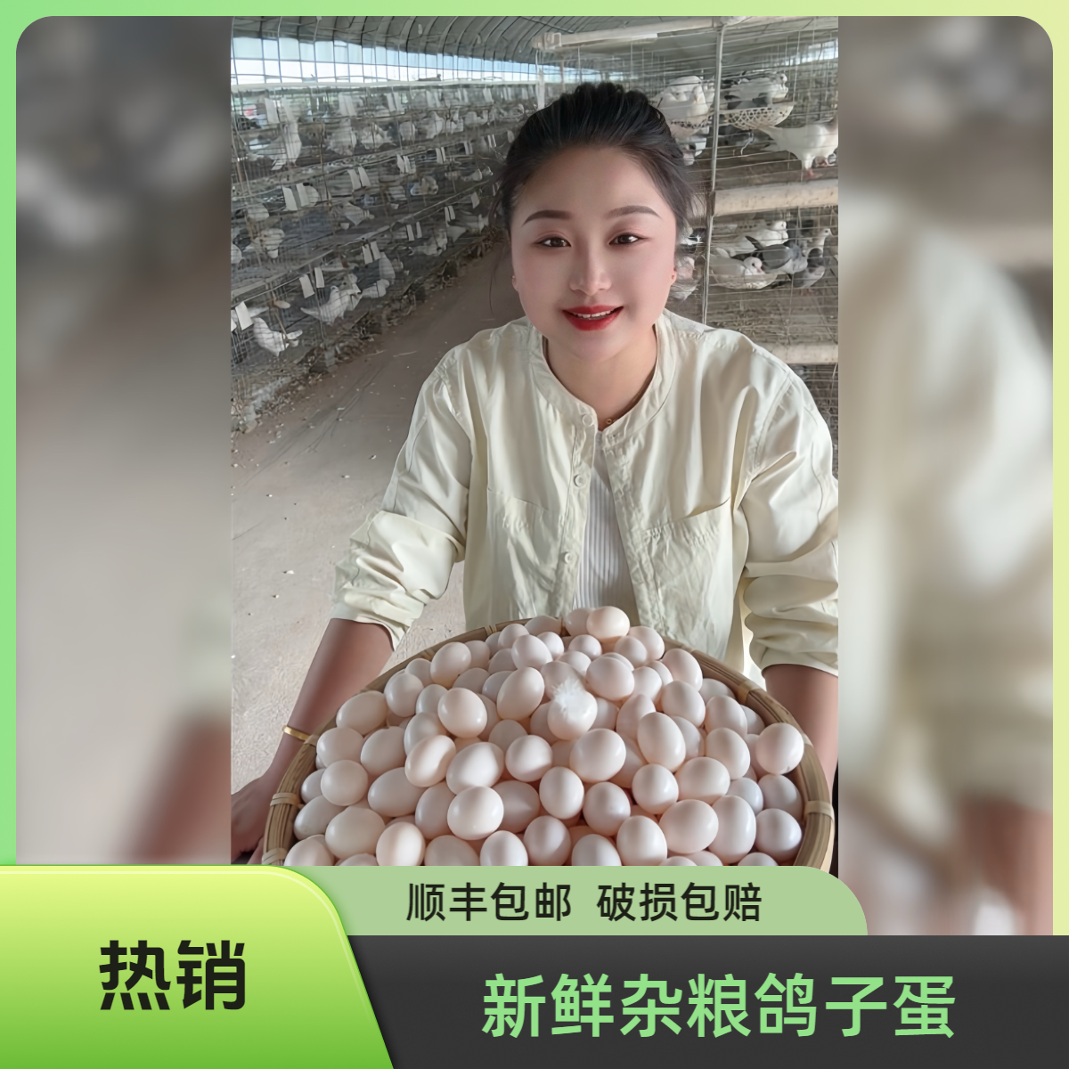 新鲜杂粮鸽子蛋30枚60枚鸽棚直发宝宝孕妈老人的营养品新鲜鸽子蛋