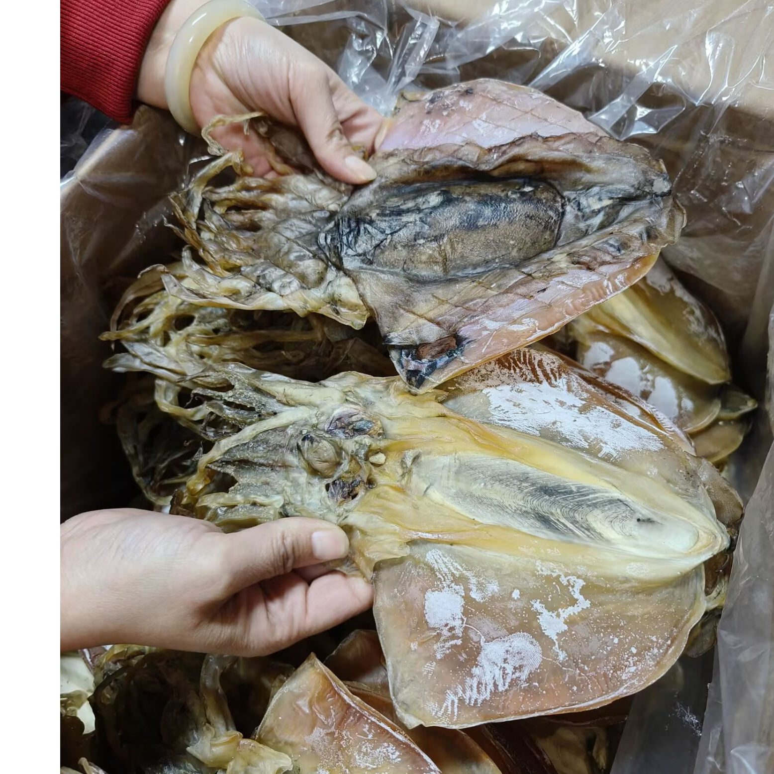 @福建特产海鲜干货淡干墨鱼干煲汤