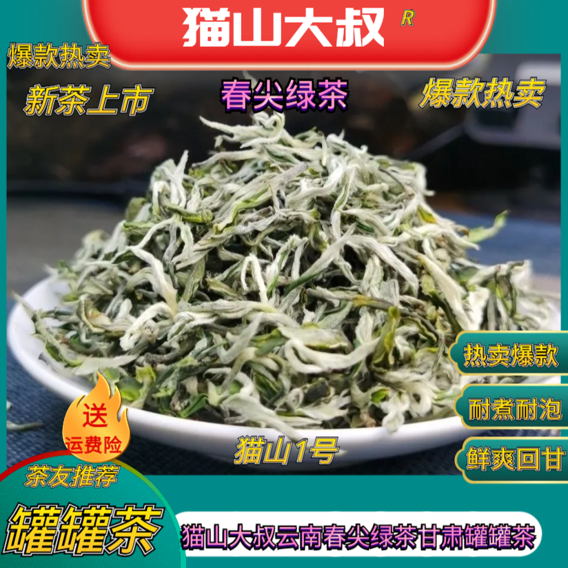 【618专属猫山1号】2025新茶云南春尖绿茶西北兰州天水甘肃罐罐茶
