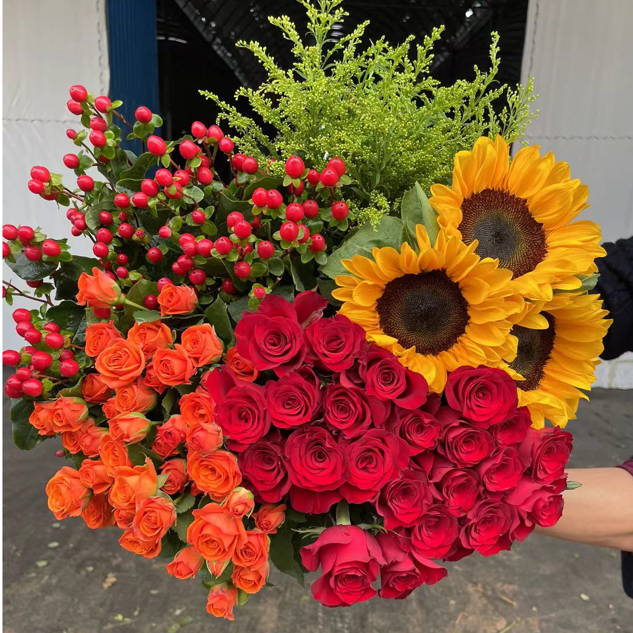 红玫瑰5枝+向日葵3枝+橙芭比2-3只+红豆+配草5只云南昆明基地鲜花