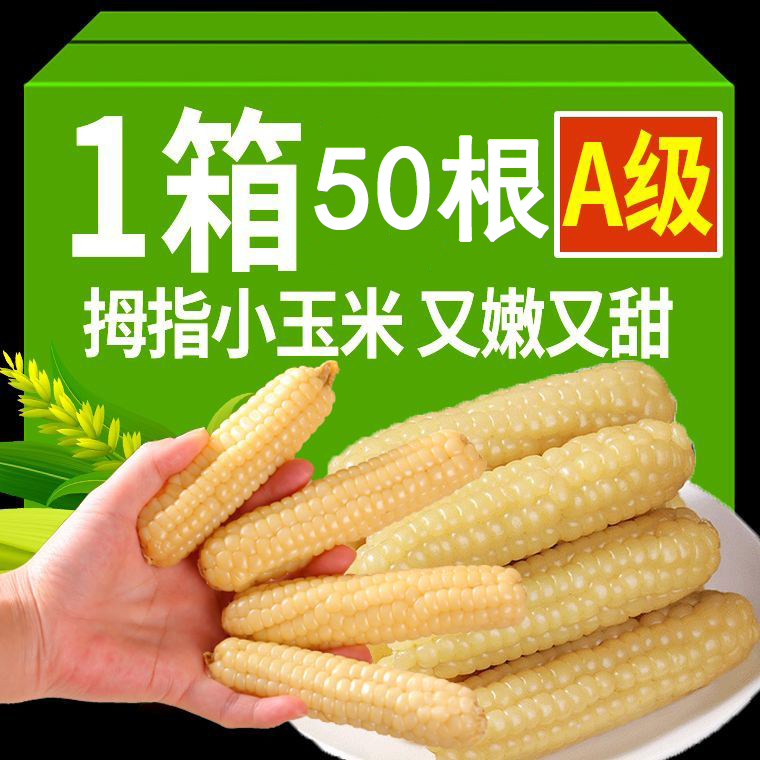 拇指玉米西双版纳手指小玉米香糯宝宝玉米新鲜白糯小玉米非转基因