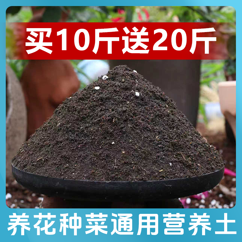 【买10斤送20斤】营养土通用养花种菜专用有机土壤植物通用型花卉土