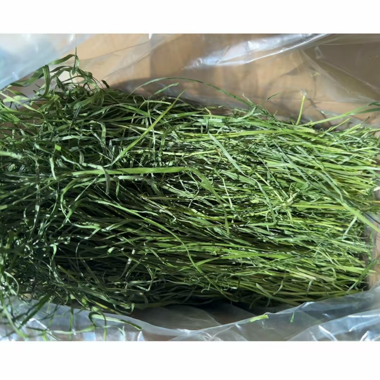 2025年优质南提摩西草段烘干兔子龙猫荷兰猪苜蓿草萌宠町町
