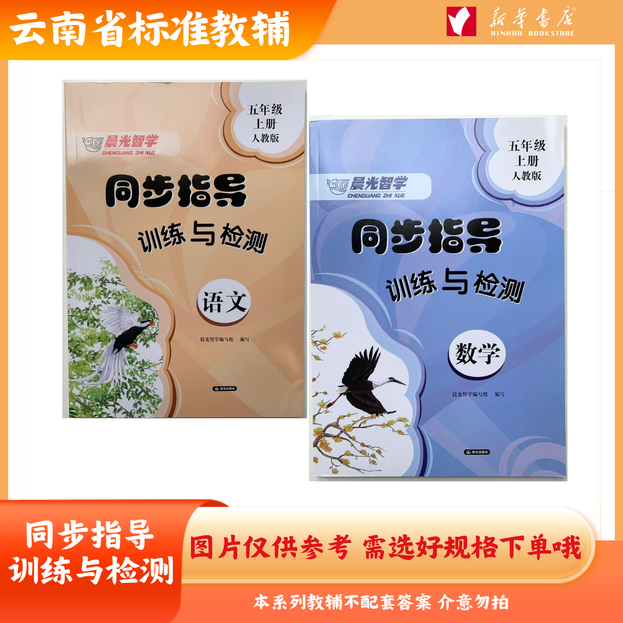 【新华书店】25年 上下册 . 同步指导训练与检测 晨光智学