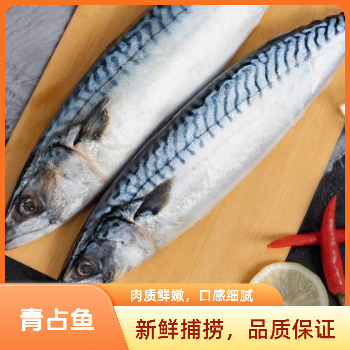 青占鱼花仙鱼干宁德大黄鱼汕尾鱼大带鱼大青鱼进口鲜嫩青花鱼