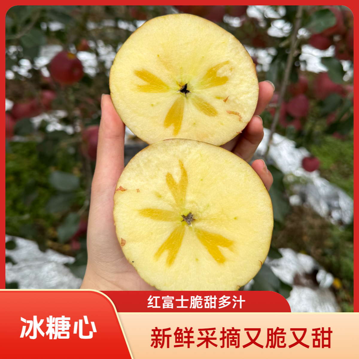 云南昭通高原丑苹果冰糖心脆甜多汁新鲜采摘当季整箱包邮