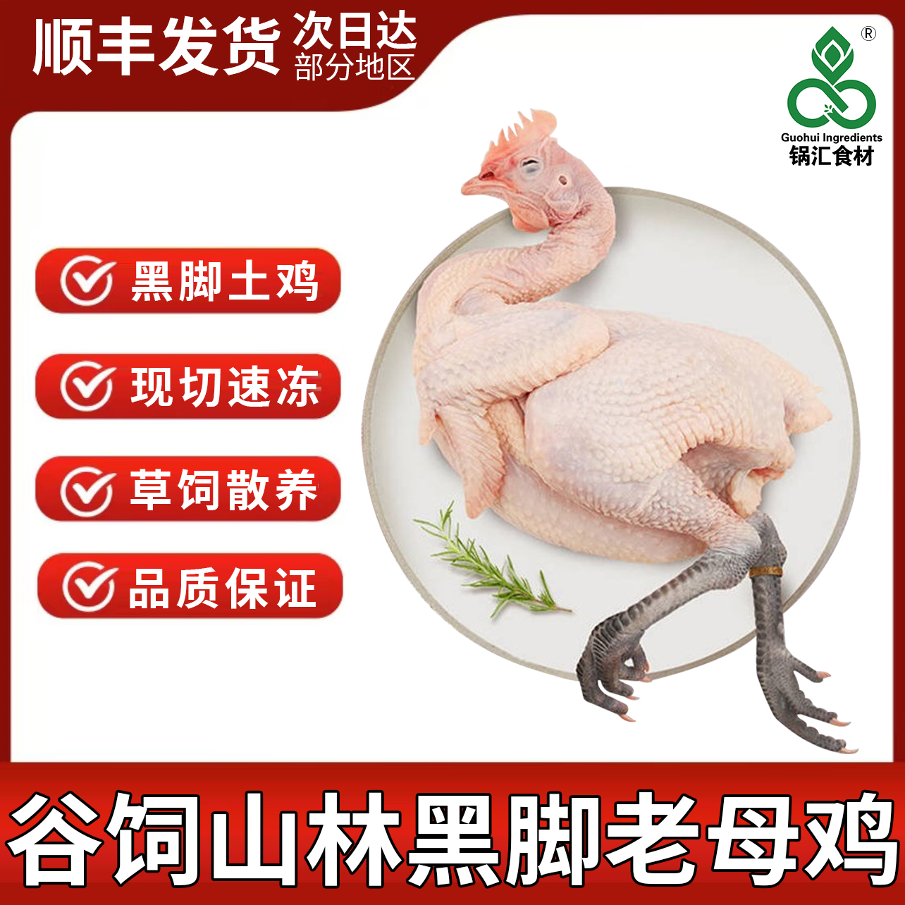锅汇食材农家谷饲山林散养黑脚老母鸡每只不低于2.2斤心肝胗都在