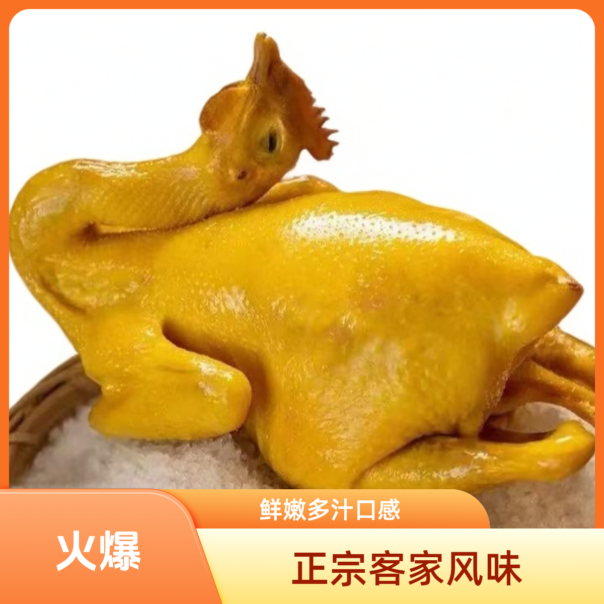 五指毛桃脆皮老鸡顺丰包邮新鲜美味