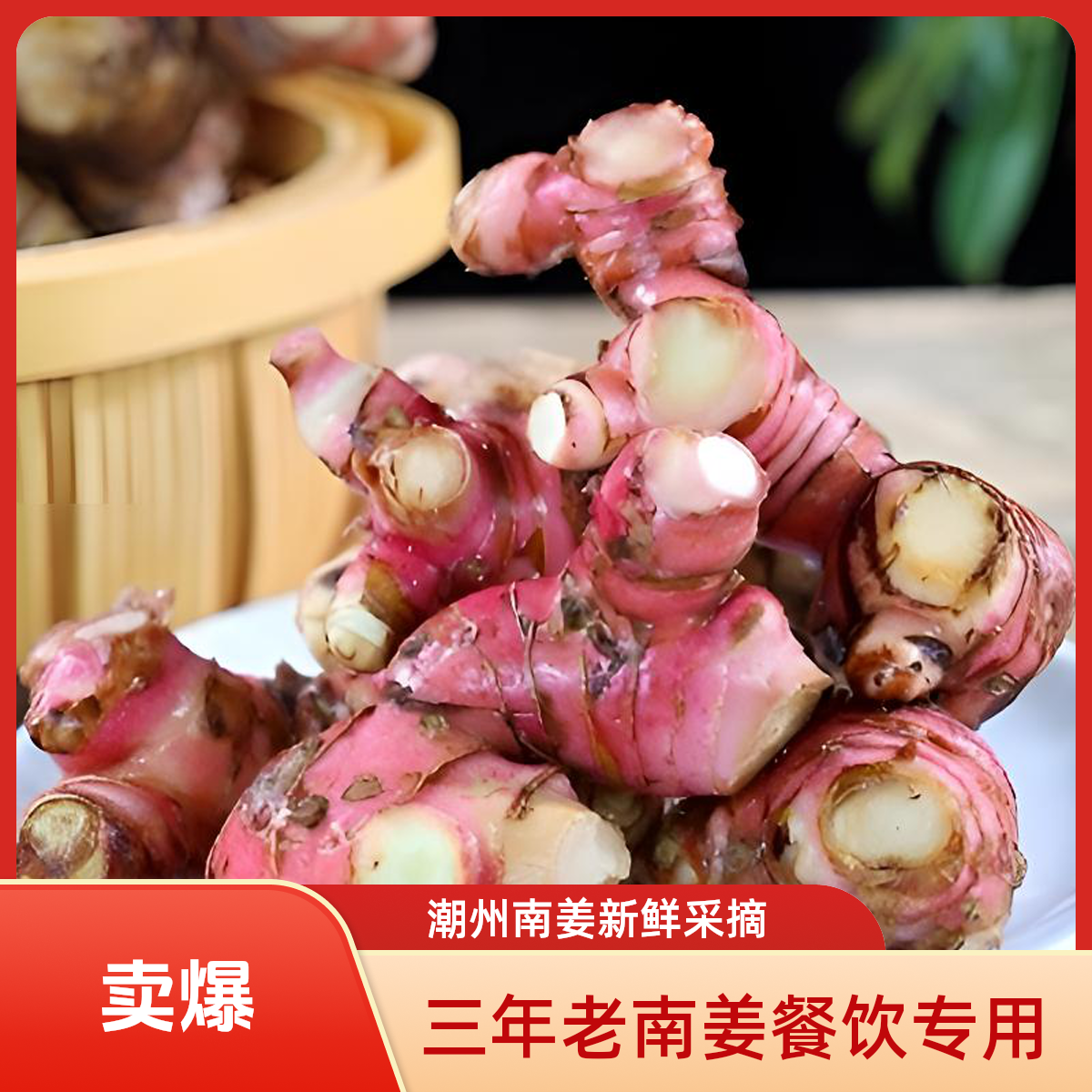 潮州南姜红皮（大肉）南姜新鲜南姜牛羊肉火锅卤味去腥提味火锅底料