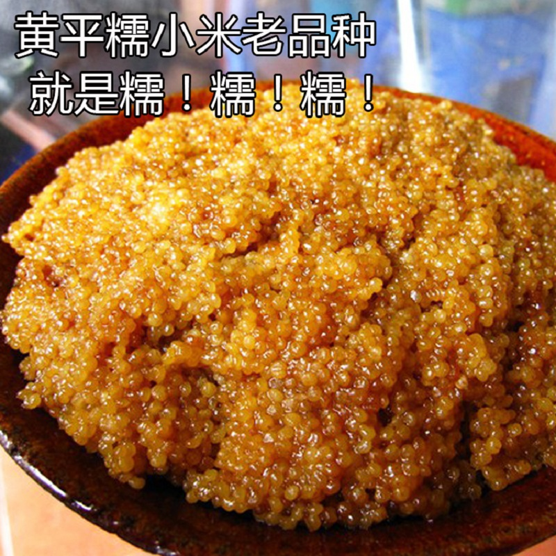 贵州特产黄平新鲜老品种糯小米黏黄米可做小米鲊包粽子煮粥打糍粑
