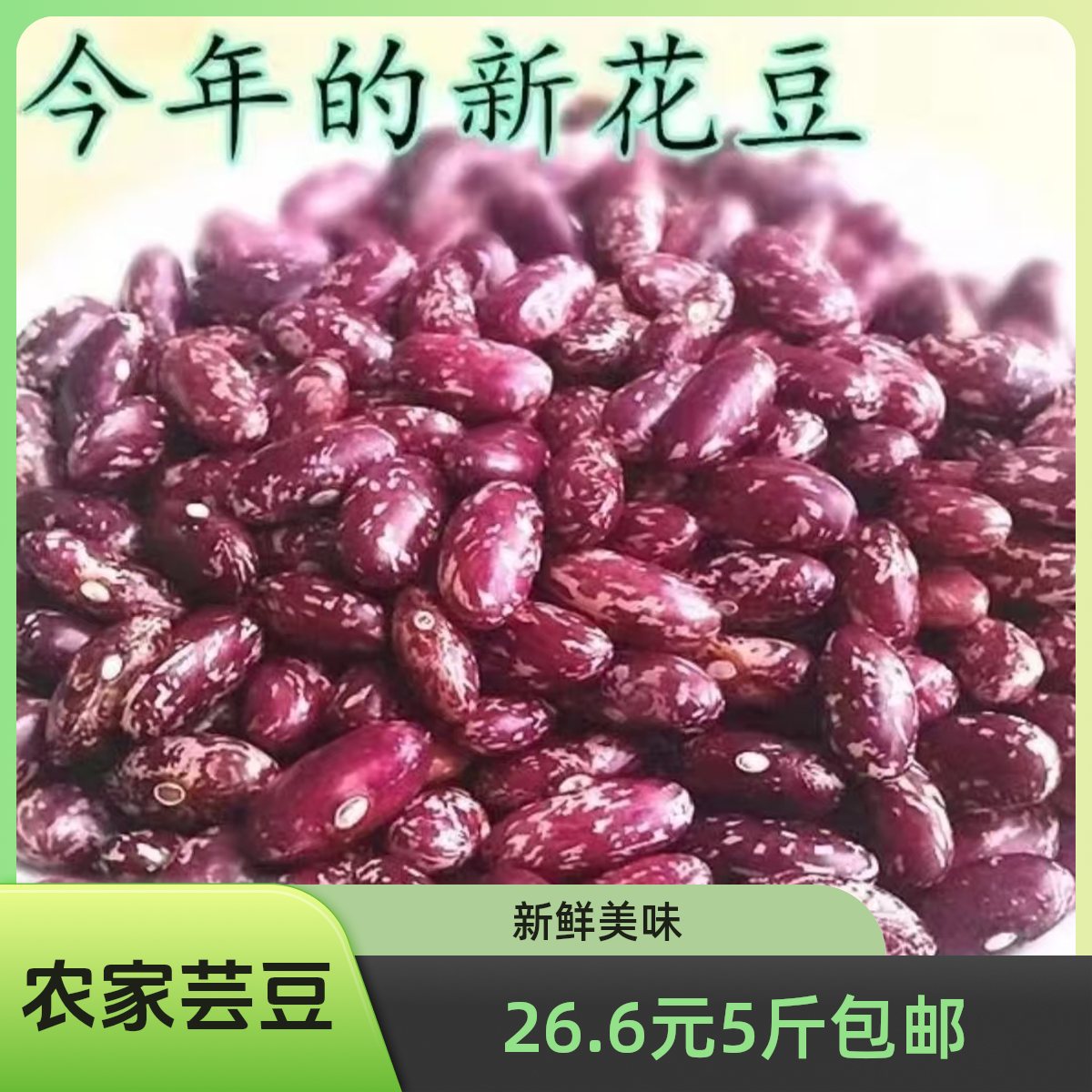 【紫花芸豆抢5斤包邮】东北酸菜农家五谷杂粮黑龙江正宗五谷杂粮