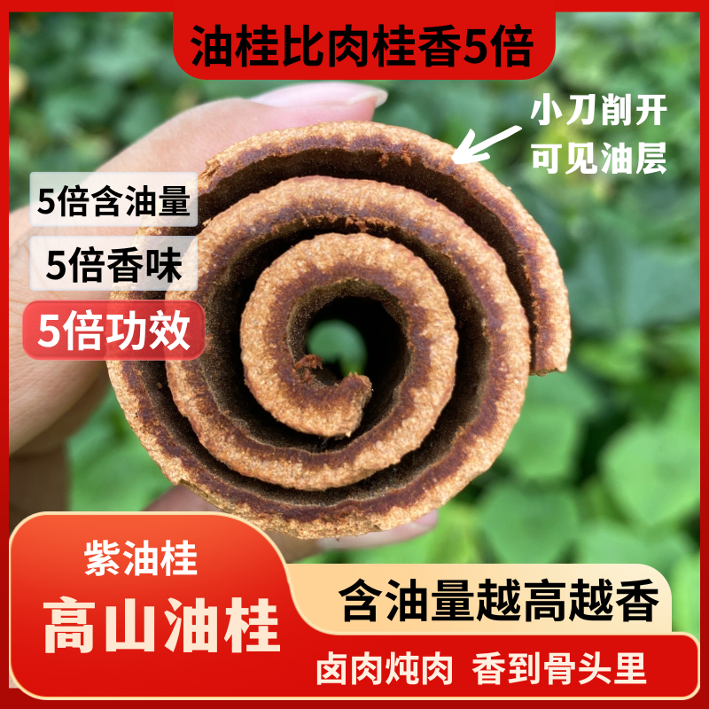 【油桂】25年新货高山紫油桂精选无硫肉桂皮卤肉炖肉香料泡水