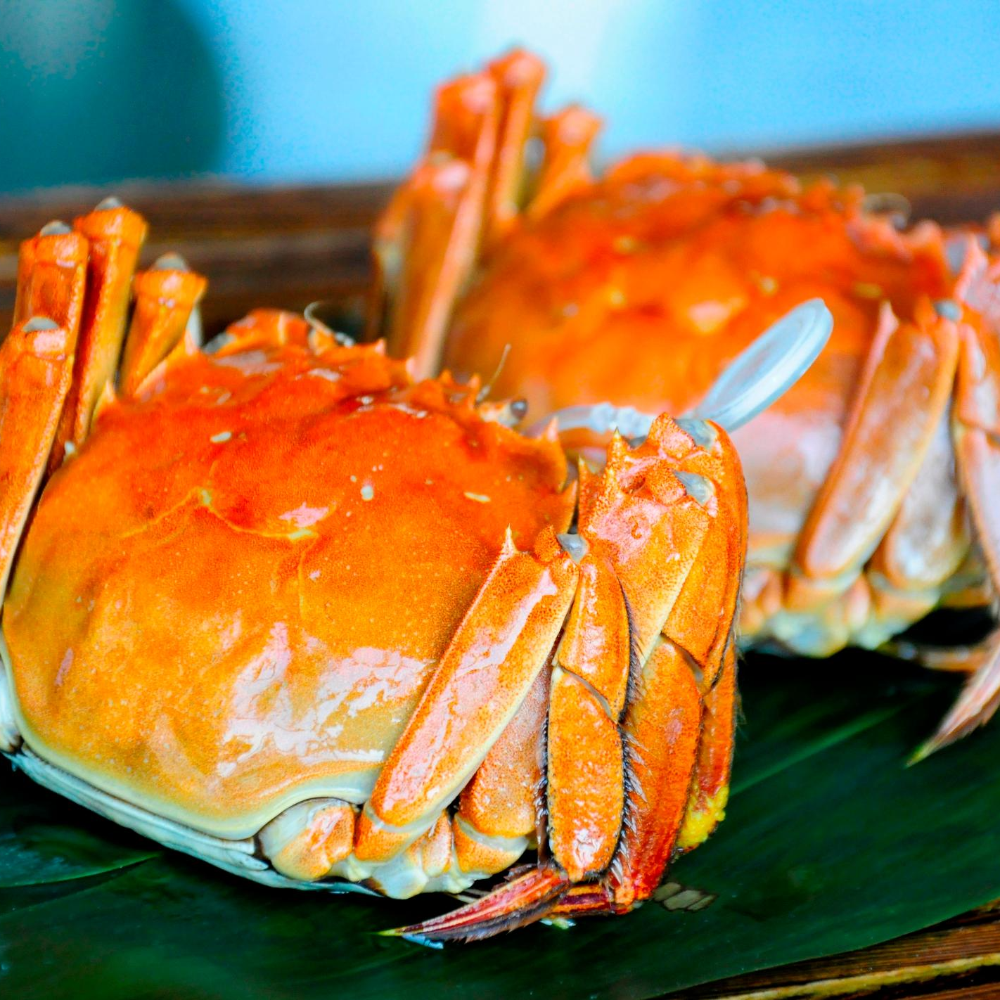 微山湖【活蟹】大闸蟹公蟹3两 母蟹2两半  5+5到手10只顺丰冷链包邮