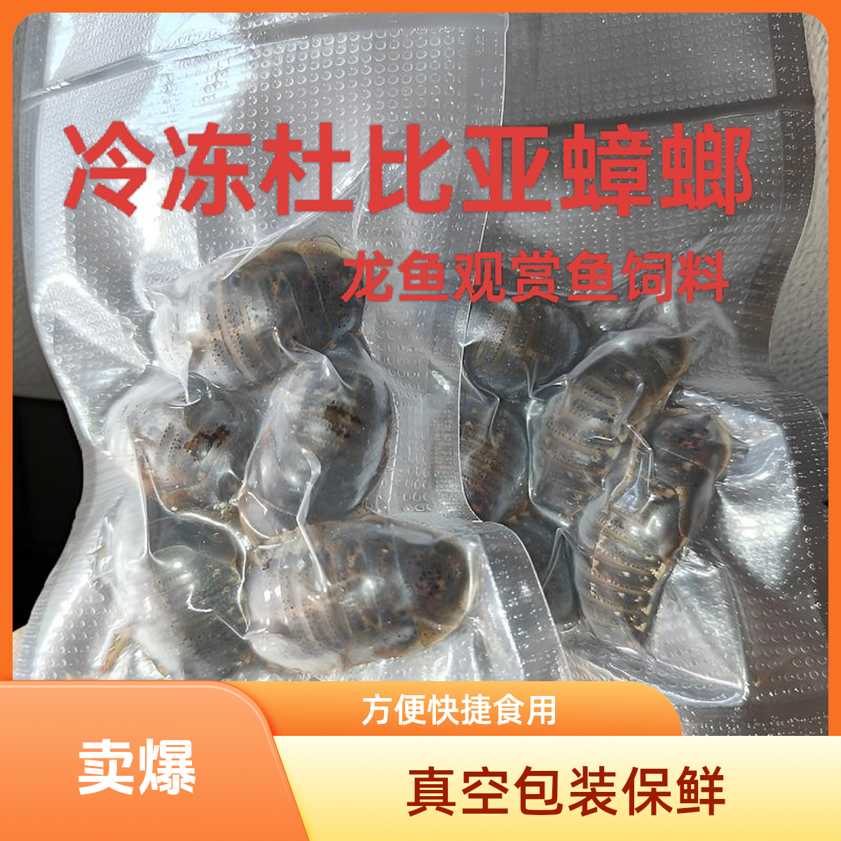 鱼粮杜比亚蟑螂龙鱼发色饲料红龙鱼发色龙鱼增肥龙鱼爱吃零食