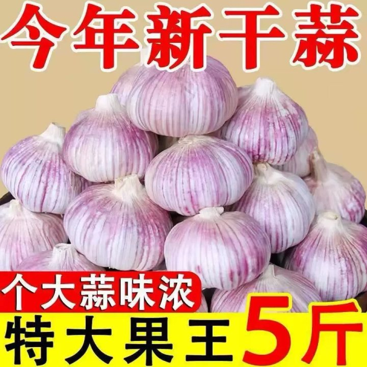 【粉丝专属】5斤正宗2025农家蒜河南杞县紫白皮大蒜新蒜头新鲜