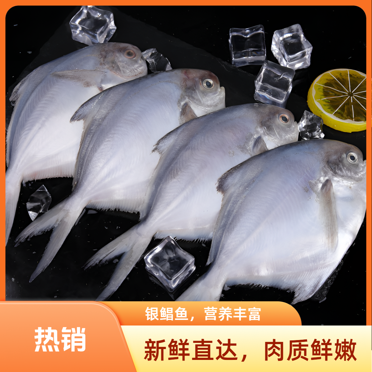 【到手5斤】深海海捕新鲜速冻银鲳鱼刺少肉嫩冷链包邮