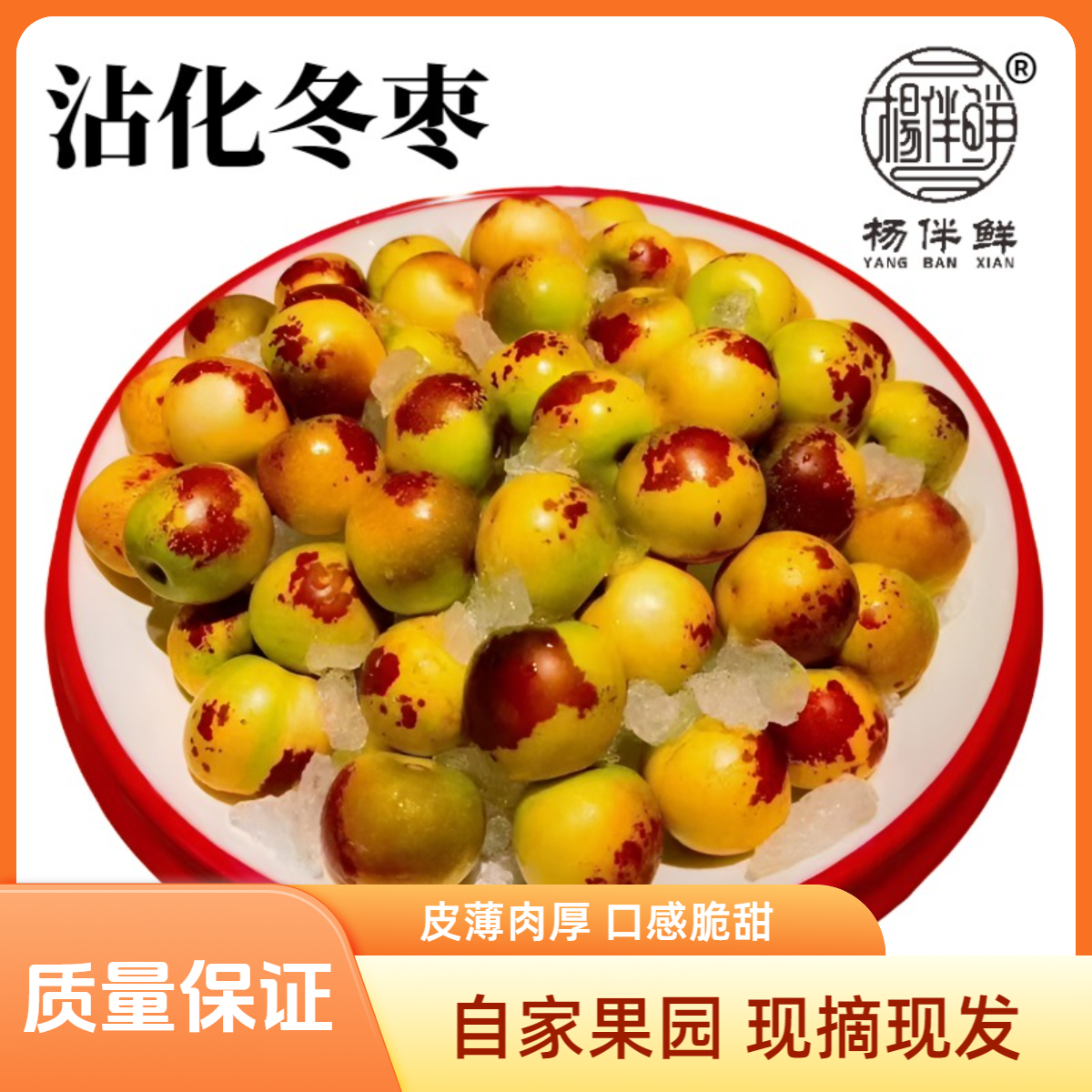 杨伴鲜【顺丰京东】沾化冬枣 新鲜脆甜当季水果现摘现发
