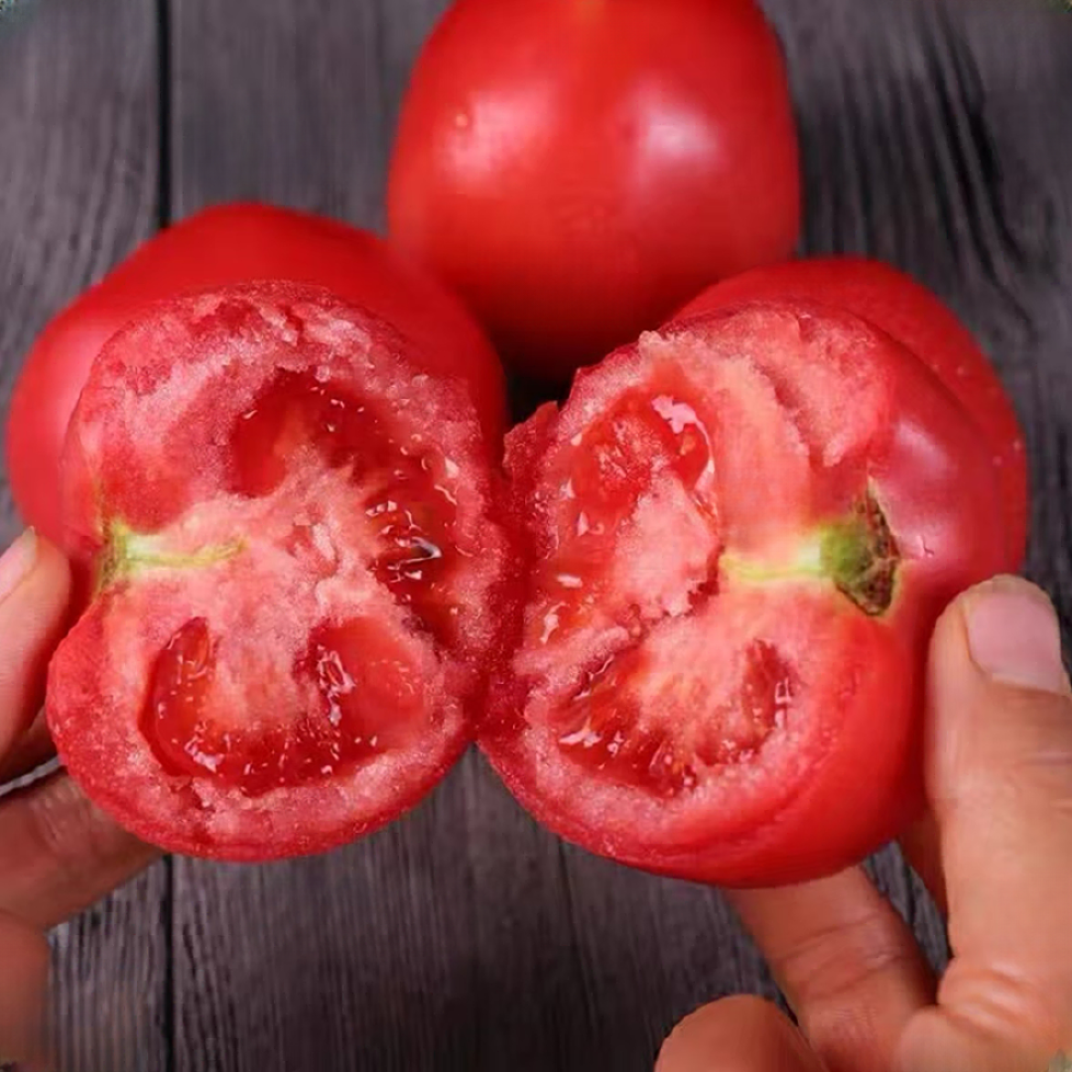 沙瓤西红柿自然熟番茄酸甜多汁产地直销新鲜采摘应季生鲜水果蔬菜