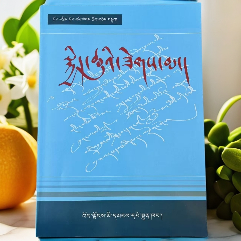 拉萨河水花:中学生作文集锦藏文