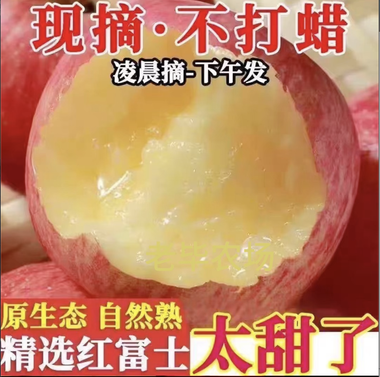 正宗洛川红富士 脆甜多汁无残渣孕妇水果