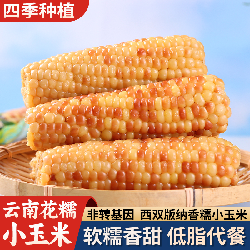西双版纳傣家小花糯玉米5斤香糯小玉米棒真空包装代餐学生早餐