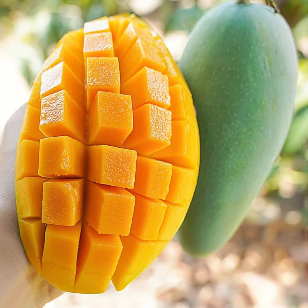 金煌芒带箱9-10斤净重8斤催熟食用应季水果海南直发