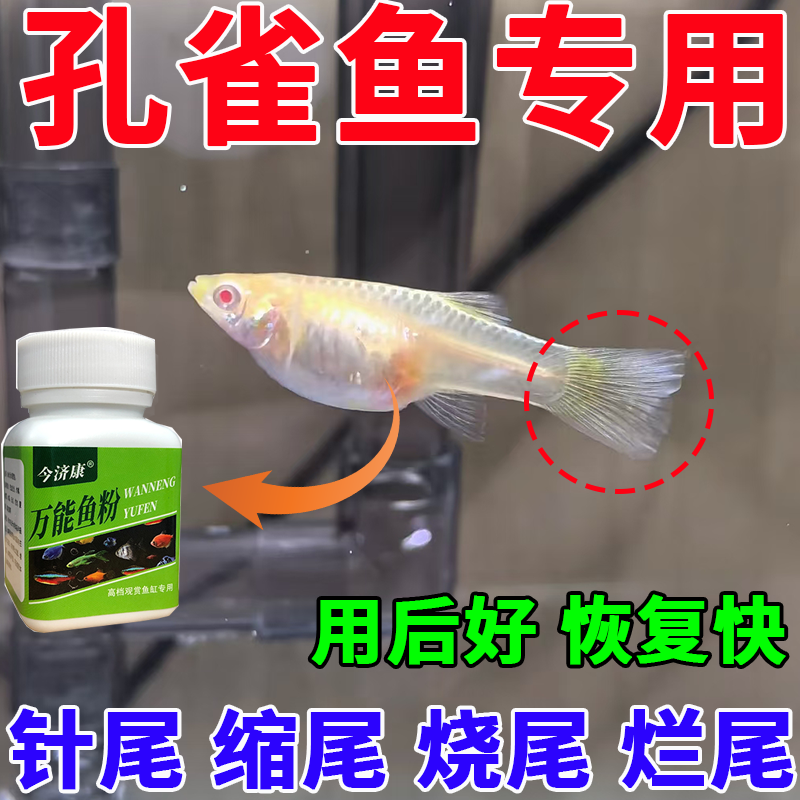 孔雀鱼针尾缩尾烂尾烧尾观赏鱼水霉蒙眼烂鳍竖鳞万能水族通用
