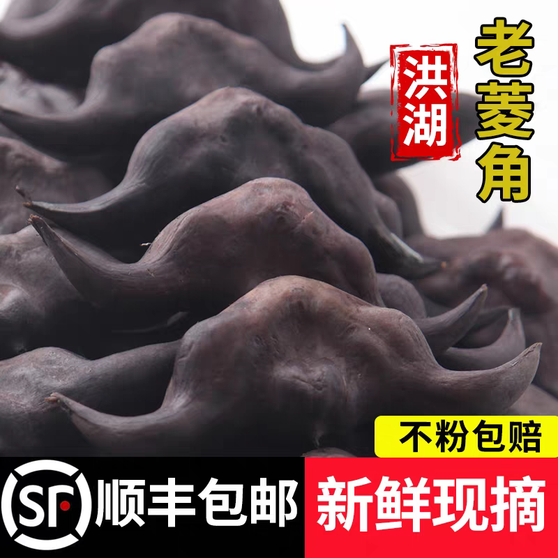 【老菱角顺丰】新鲜老菱角粉糯鲜香菱果菱角现采现发湖北洪湖菱角