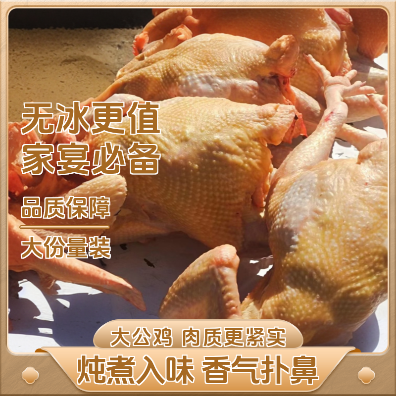 【昌吉毛姐新疆包邮】麻羽大公鸡黄脚公鸡 包冰率不含冰