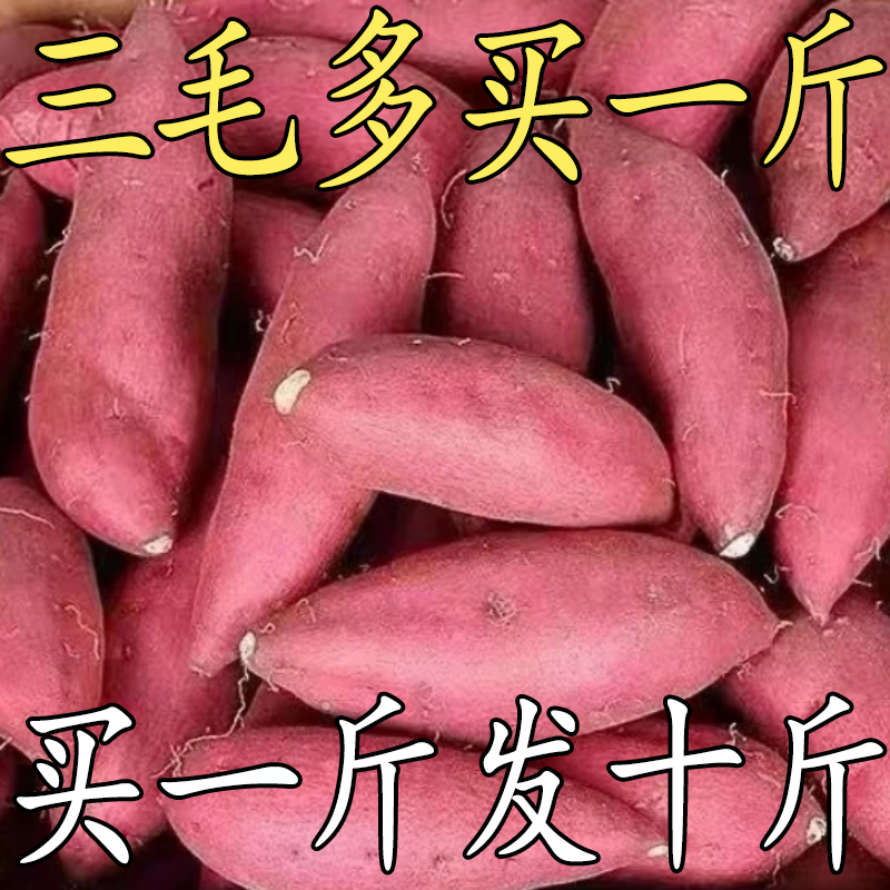 【糖心蜜薯】超甜蜜薯新鲜蜜薯正宗黄心板栗薯番薯地瓜烟薯