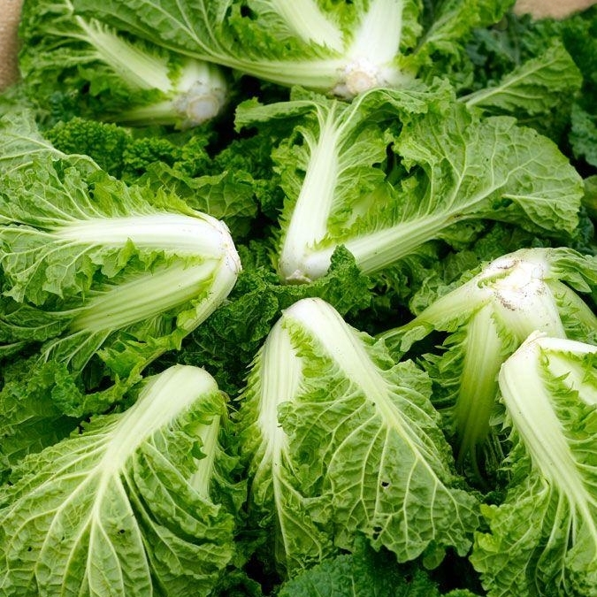 【麻叶白菜】贵州高山露天生长现砍现发白菜新鲜绿色蔬菜白菜