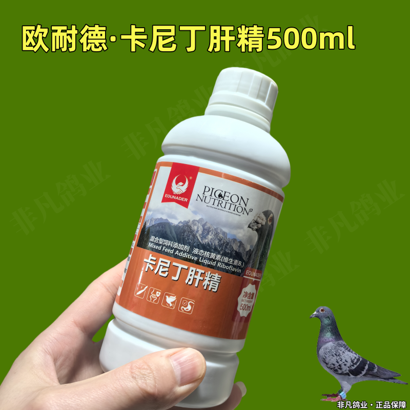 卡尼丁肝精鸽子信鸽赛鸽用品比赛提速换羽紫胸黑舌羽毛不光亮消瘦