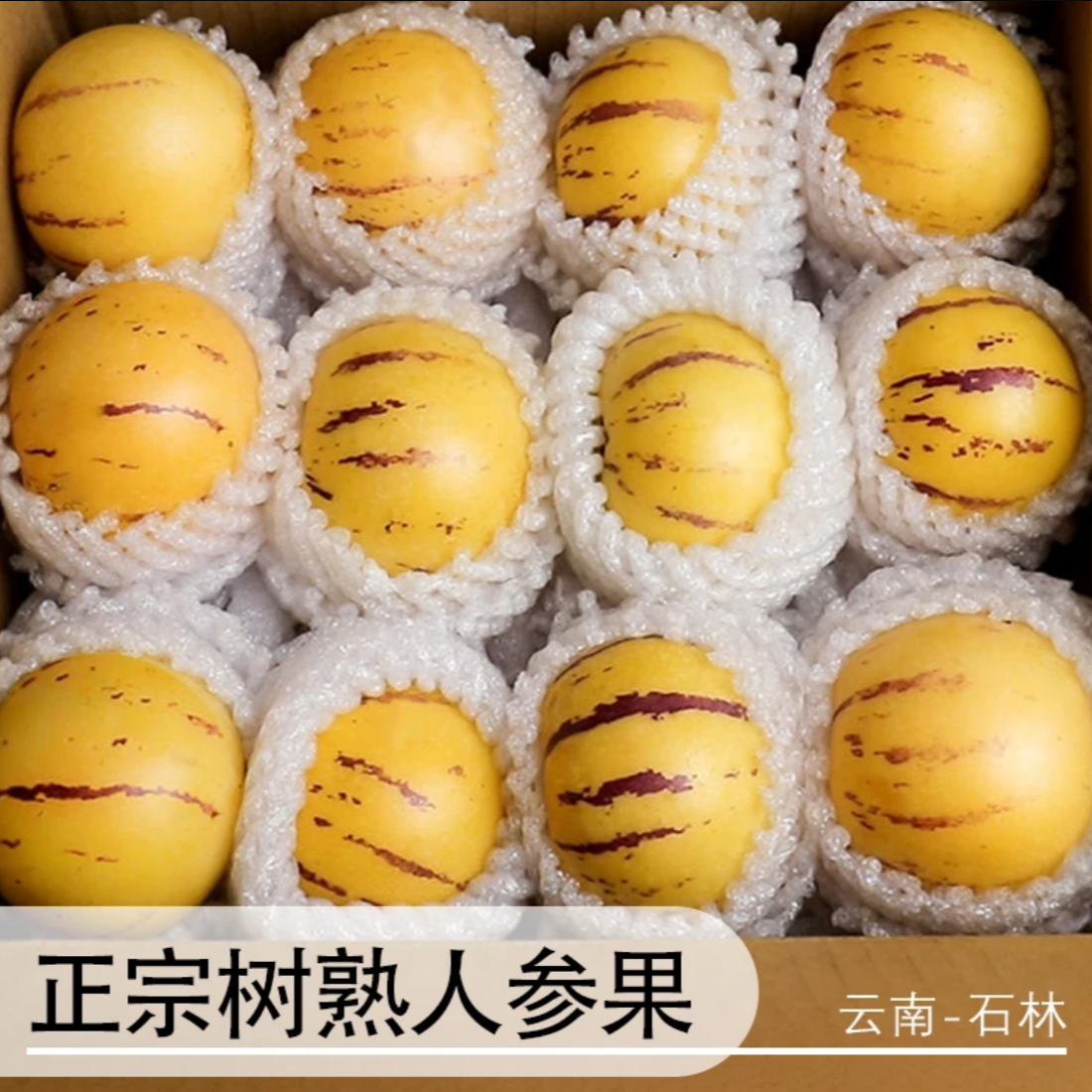 【真·树上熟】正宗云南石林人参果人生果当季热卖新鲜水果产地直发