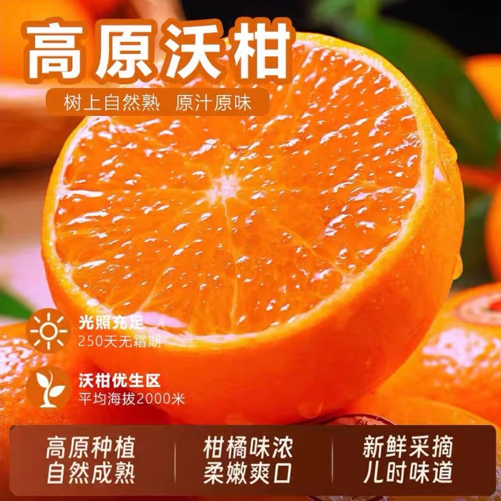 【现摘现发】当季沃柑新鲜甜水果柑橘子薄皮清甜多汁老人小孩整箱发