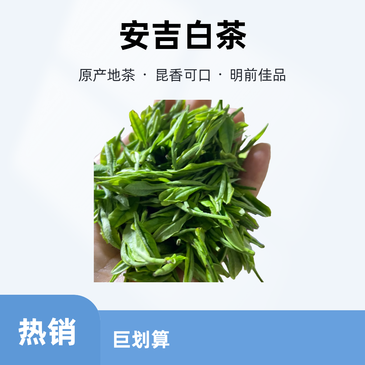 六姐家的茶【昆香】25年安吉昆铜产区兰香明前鲜甜肥芽白茶安吉