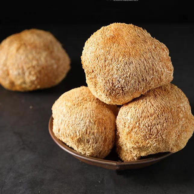 精选靓货 猴头菇 煲汤好正