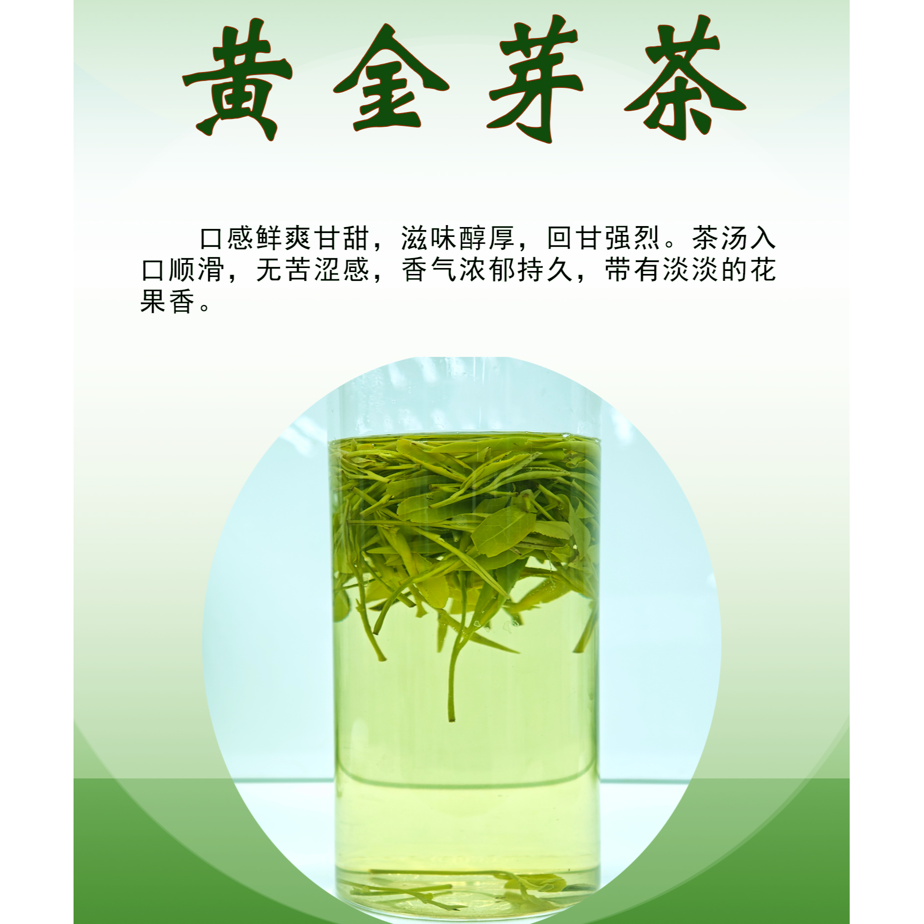 【2025年新茶】2025年新茶安吉高山黄金芽（JA福）