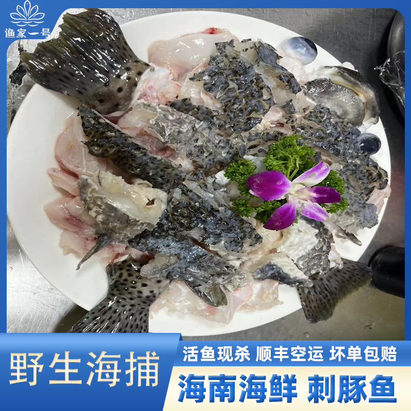 【海南西沙刺鲍鱼/刺豚鱼】 刺龟鱼刺鲀鲜活去刺南沙珊瑚鱼海鲜干货