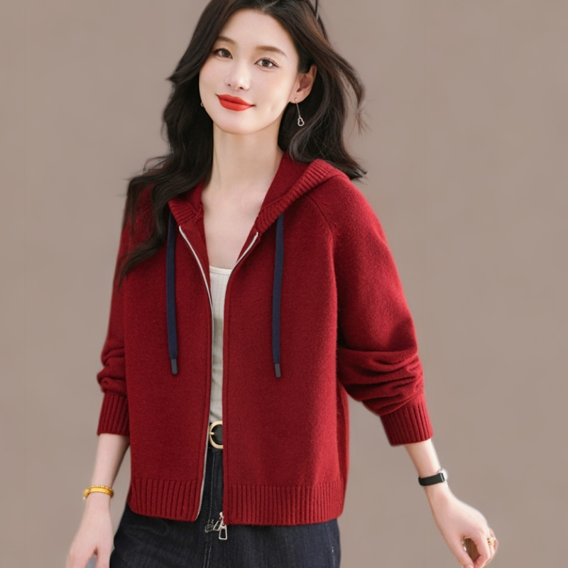 高端拉链针织开衫女短款外搭秋冬新款连帽卫衣小个子加厚毛衣外套