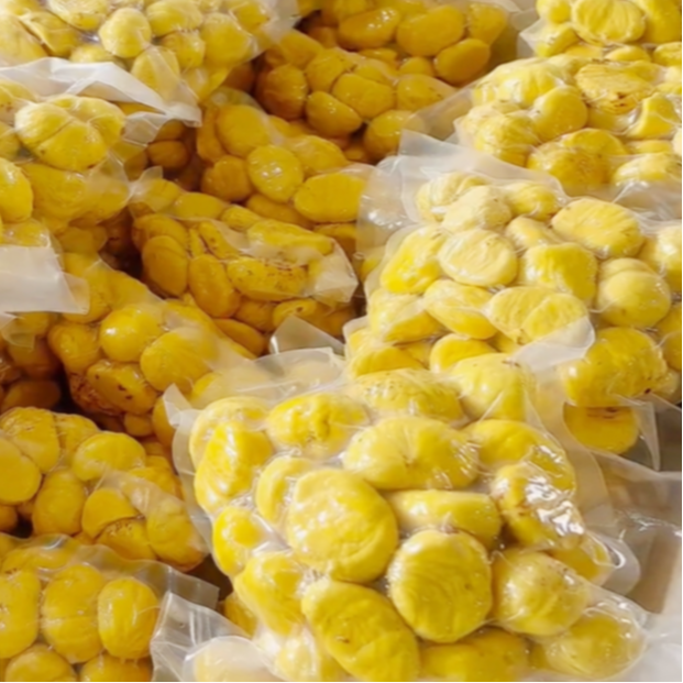 【手剥】去皮生板栗仁罗田新鲜板栗真空锁鲜剥壳大果颗粒饱满优选