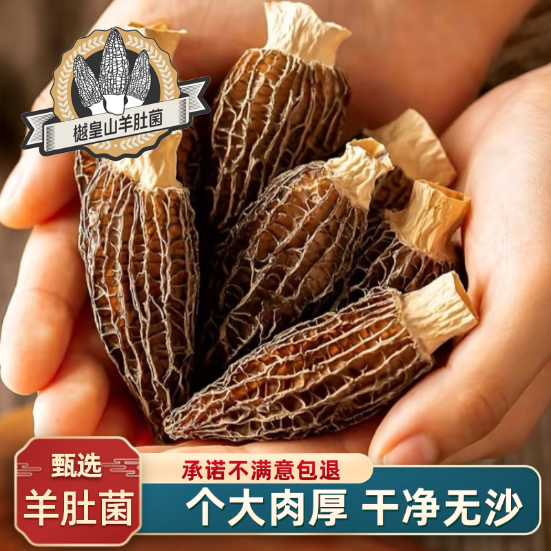 樾皇山高山六妹头茬（5-7公分）羊肚菌干货香味足营养滋补炖汤食材