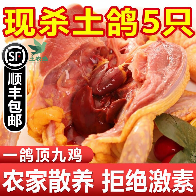【顺丰包邮】农家散养老鸽子现杀老鸽乳鸽孕妇滋补散养土鸽子珍享