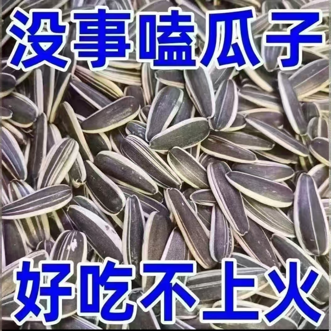 原味熟瓜子中大颗粒皮薄易嗑炒货零食大颗粒熟瓜子