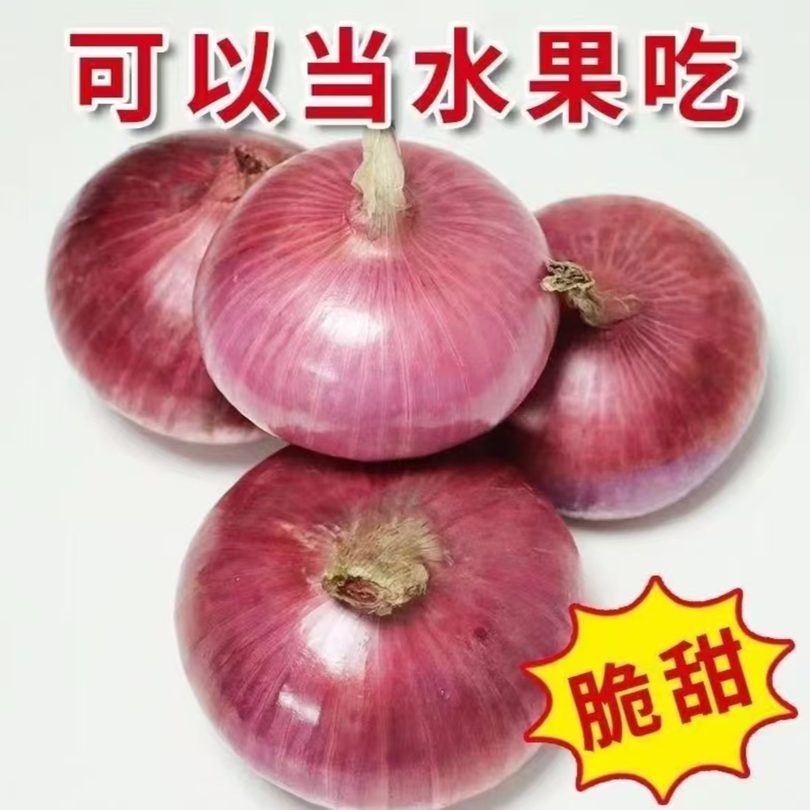 山东水果洋葱二红扁葱肉厚生吃脆甜微辣多汁新鲜应季土特产T1