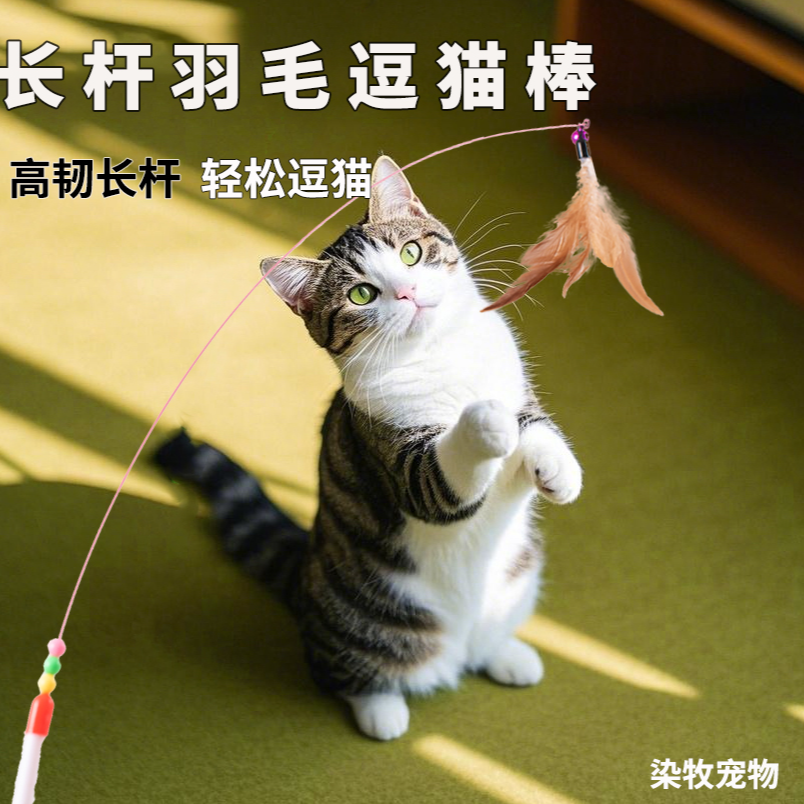 染牧猫玩具逗猫棒钢丝羽毛互动自嗨长杆互动带铃铛替换头宠物用品