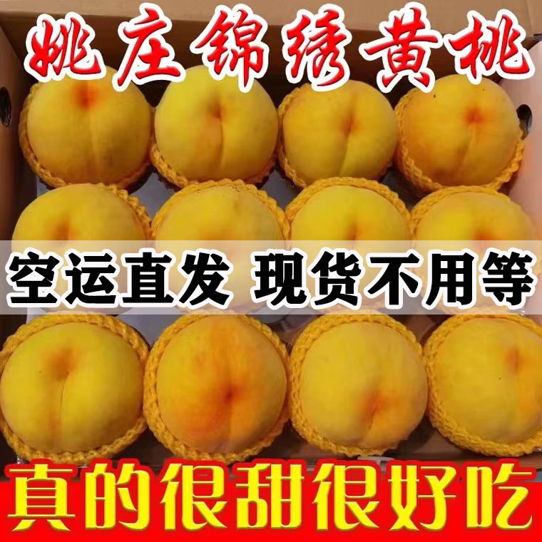 现货速发正宗嘉善姚庄锦绣大黄桃子新鲜水果当季孕妇整箱10斤礼盒
